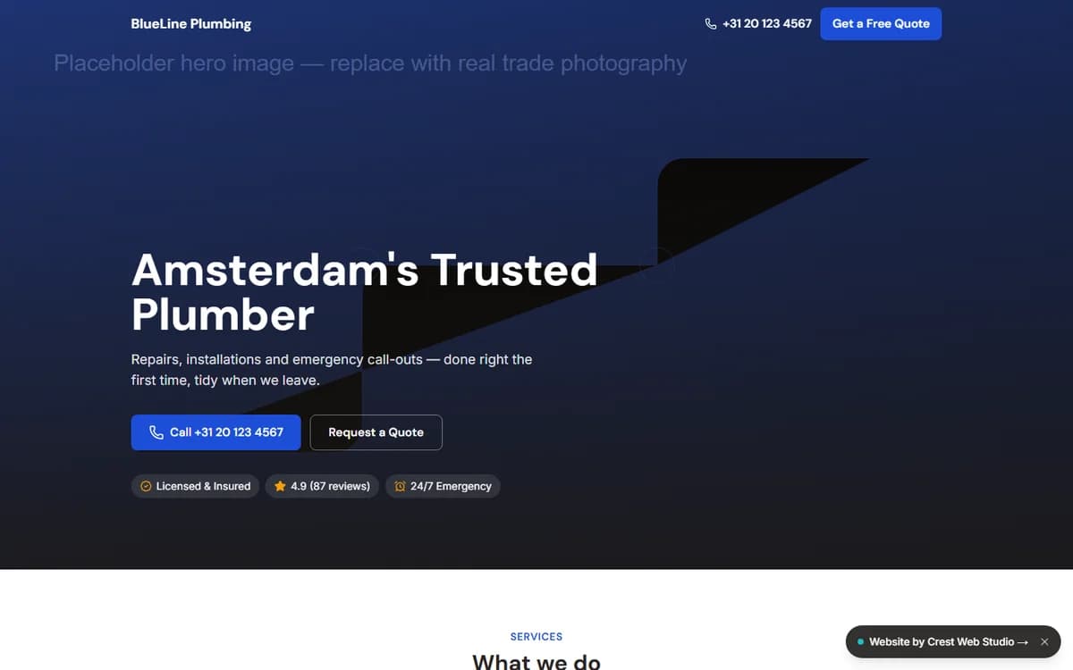 Screenshot of the BlueLine Plumbing demo website